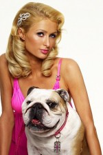 Watch Paris Hilton's British Best Friend Zmovie