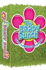 Watch The Brady Bunch Zmovie