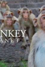 Watch Monkey Planet Zmovie