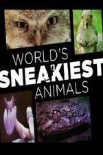 Watch World's Sneakiest Animals Zmovie