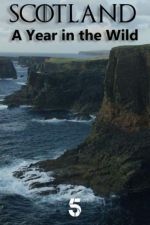 Watch Scotland: A Wild Year Zmovie