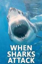 Watch When Sharks Attack Zmovie