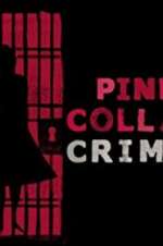 Watch Pink Collar Crimes Zmovie