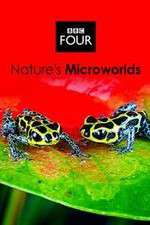 Watch Natures Microworlds Zmovie