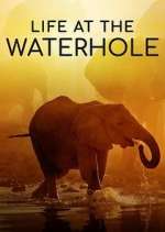 Watch Life at the Waterhole Zmovie