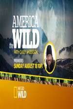 Watch America the Wild Zmovie