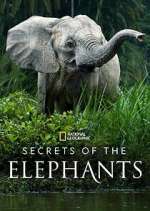 Watch Secrets of the Elephants Zmovie