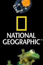 Watch Nat Geo Amazing! Zmovie