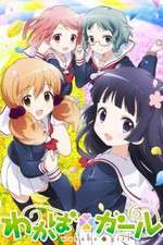 Watch Wakaba Girl Zmovie