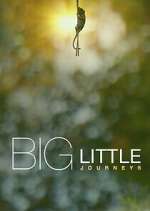 Watch Big Little Journeys Zmovie