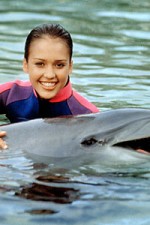 Watch Flipper (The New Adventures of Flipper) Zmovie