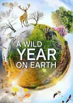 Watch A Wild Year on Earth Zmovie
