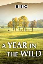 Watch A Year in the Wild Zmovie