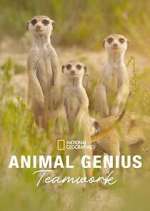 Watch Animal Genius Zmovie