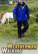Watch Weatherman Walking Zmovie