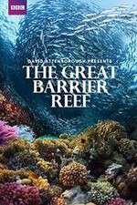 Watch Great Barrier Reef with David Attenborough Zmovie