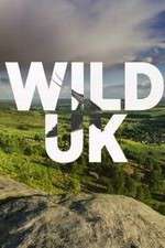 Watch Wild UK Zmovie