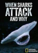 Watch When Sharks Attack... And Why Zmovie