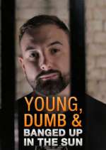 Watch Young Dumb & Banged Up in the Sun Zmovie
