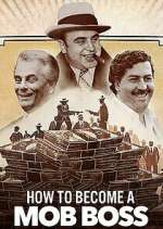 Watch How to Become a Mob Boss Zmovie