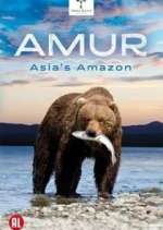 Watch Amur Asia's Amazon Zmovie