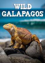 Watch Wild Galapagos Zmovie