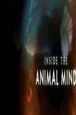 Watch Inside the Animal Mind Zmovie