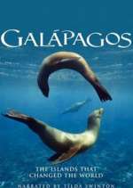 Watch Galapagos Zmovie