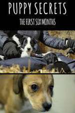 Watch Puppy Secrets: The First Six Months Zmovie