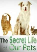 Watch The Secret Life of Our Pets Zmovie