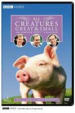 Watch All Creatures Great and Small Zmovie