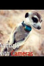 Watch Animals with Cameras Zmovie
