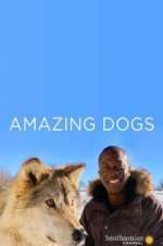 Watch Amazing Dogs Zmovie