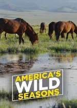 Watch America's Wild Seasons Zmovie