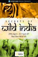 Watch Secrets of Wild India Zmovie