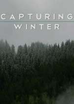 Watch Capturing Winter Zmovie