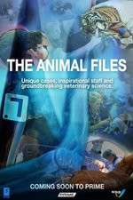 Watch The Animal Files Zmovie
