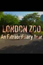 Watch London Zoo: An Extraordinary Year Zmovie