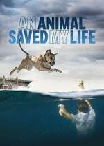 Watch An Animal Saved My Life Zmovie