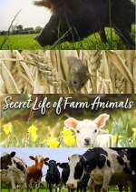 Watch Secret Life of Farm Animals Zmovie