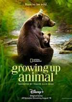 Watch Growing Up Animal Zmovie