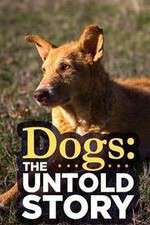 Watch Dogs: The Untold Story Zmovie