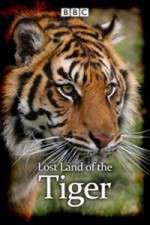 Watch Lost Land of the Tiger Zmovie