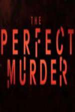 Watch The Perfect Murder Zmovie