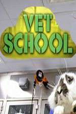 Watch Vet School Zmovie