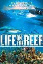 Watch Life on the Reef Zmovie