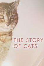 Watch The Story of Cats Zmovie