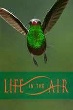 Watch Life in the Air Zmovie
