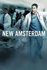 Watch New Amsterdam Zmovie
