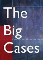 Watch The Big Cases Zmovie